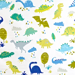 PLAYTIME | DINO DENIM