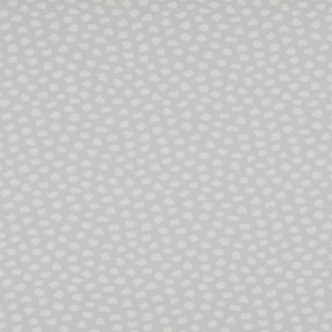 STUDIO | MONO SILVER