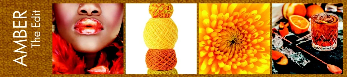 Website collection banner the edit amber2.jpg