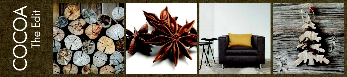 Website collection banner the edit COCOA.jpg