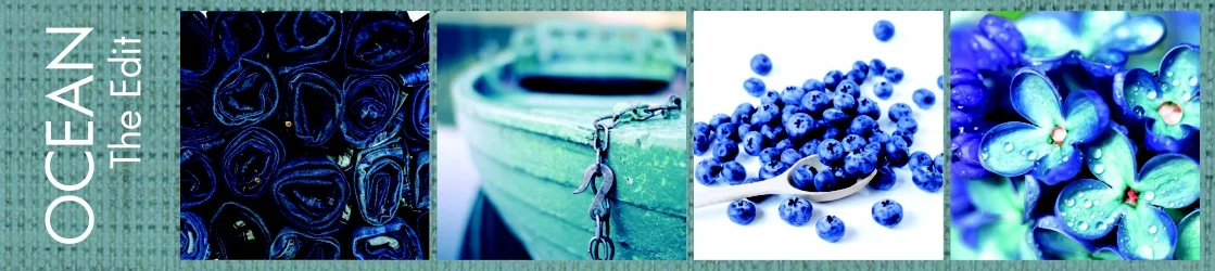 Website collection banner the edit OCEAN.jpg