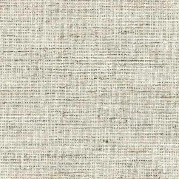 Panoma Latte 100% Polyester 140cm | Plain Upholstery 25,000 Rubs