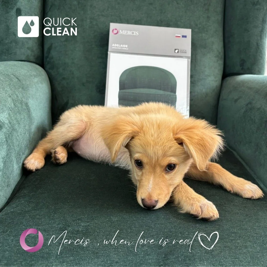❤Fabric crush of the week: Adelaide 148 😍
Kira, the love‑sick puppy, can&rsquo;t get enough of this luxe, easy‑clean fabric from our Mercis Collection, which has been expertly created by @marysinteriors 
Non‑toxic and pet-friendly, flame-retardant, 