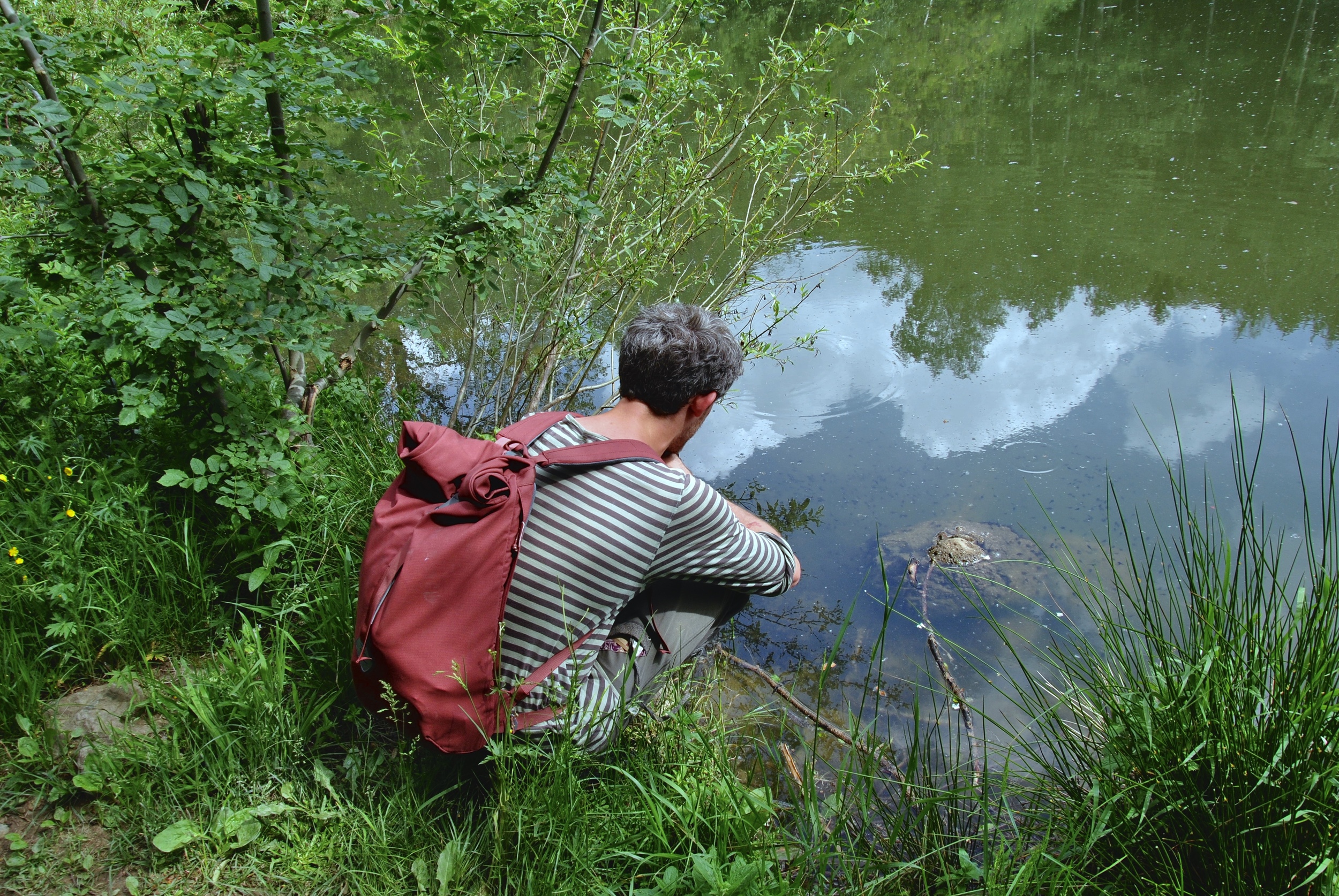 Boyana Lake