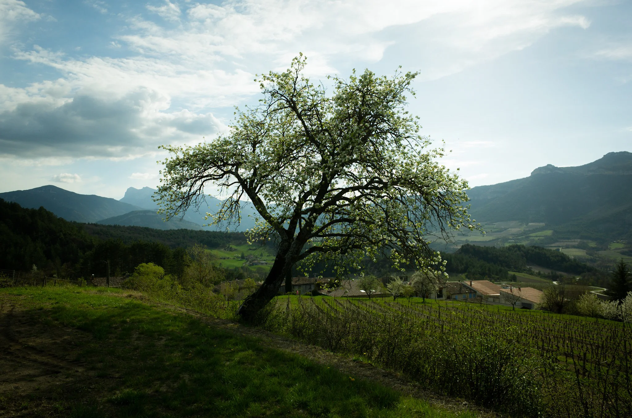LRM_EXPORT_20180416_220740.jpg