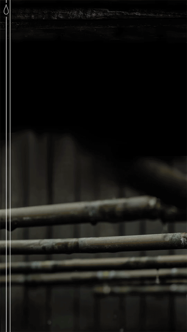 Gentleman_Jack_FB_Canvas_Page2.gif