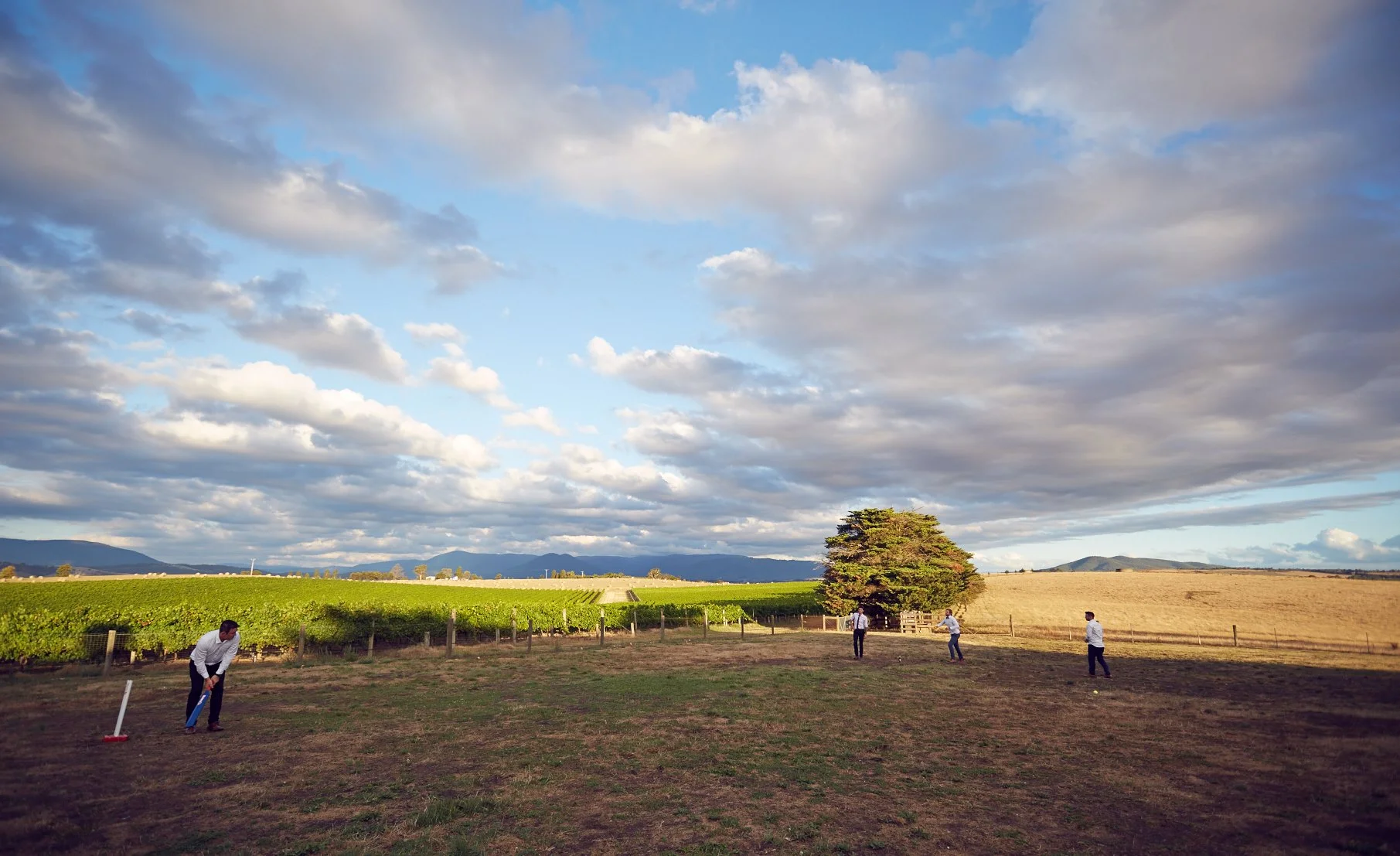_I6A5848by35mmHR.jpg