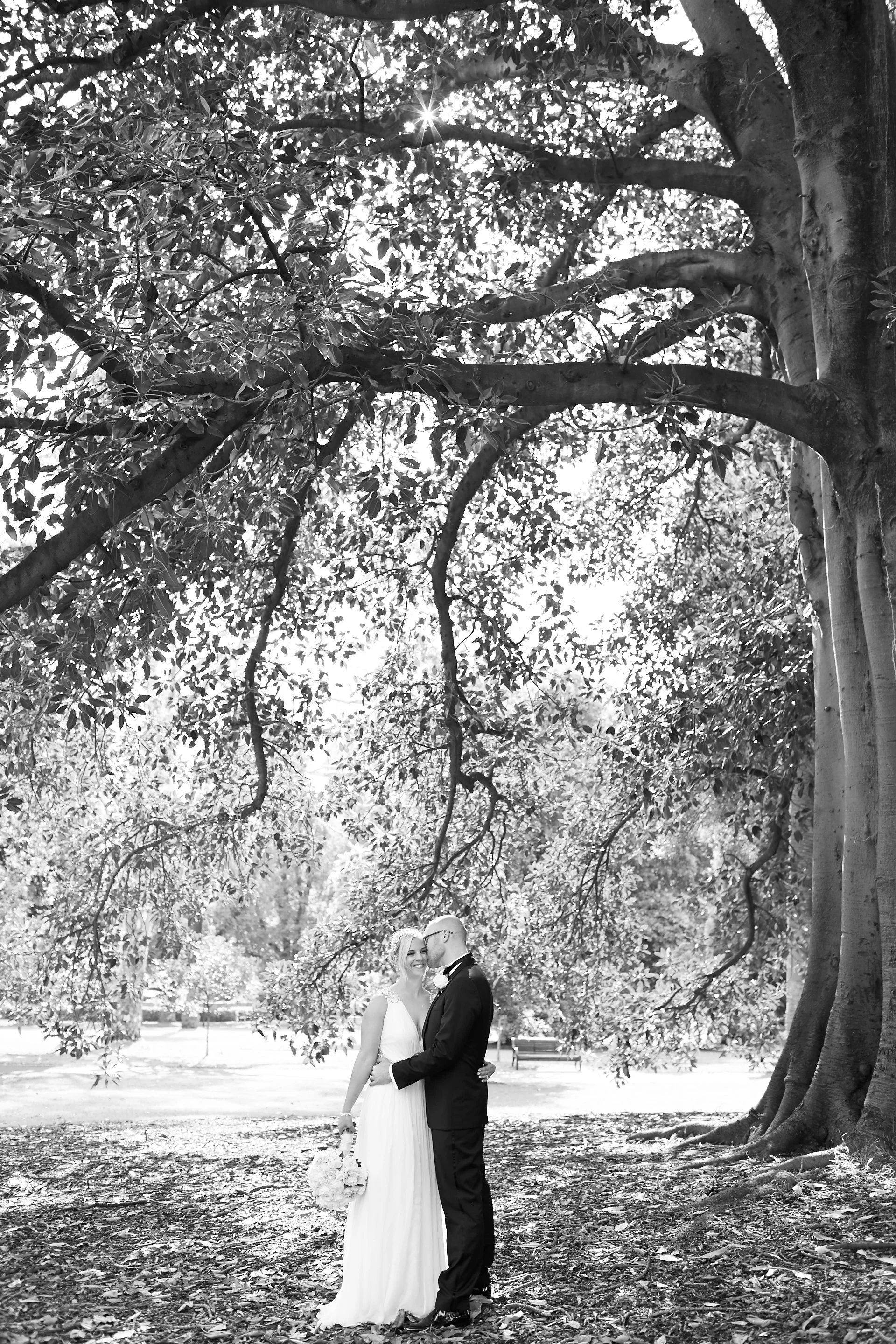 _I6A3365Lost In Love 1.jpg