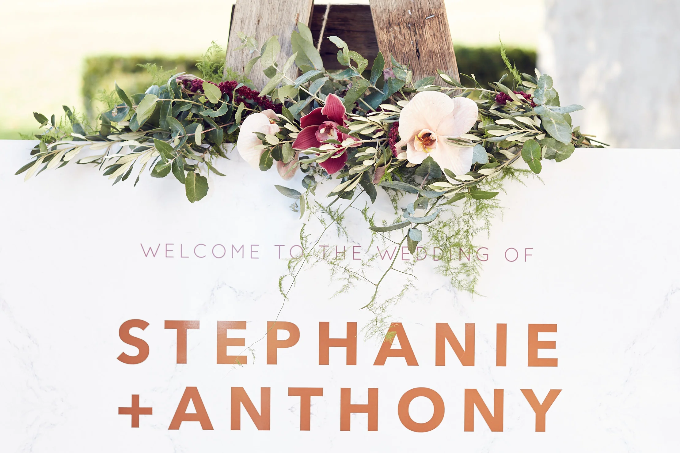 LR StephanieAndAnthony 249.jpg