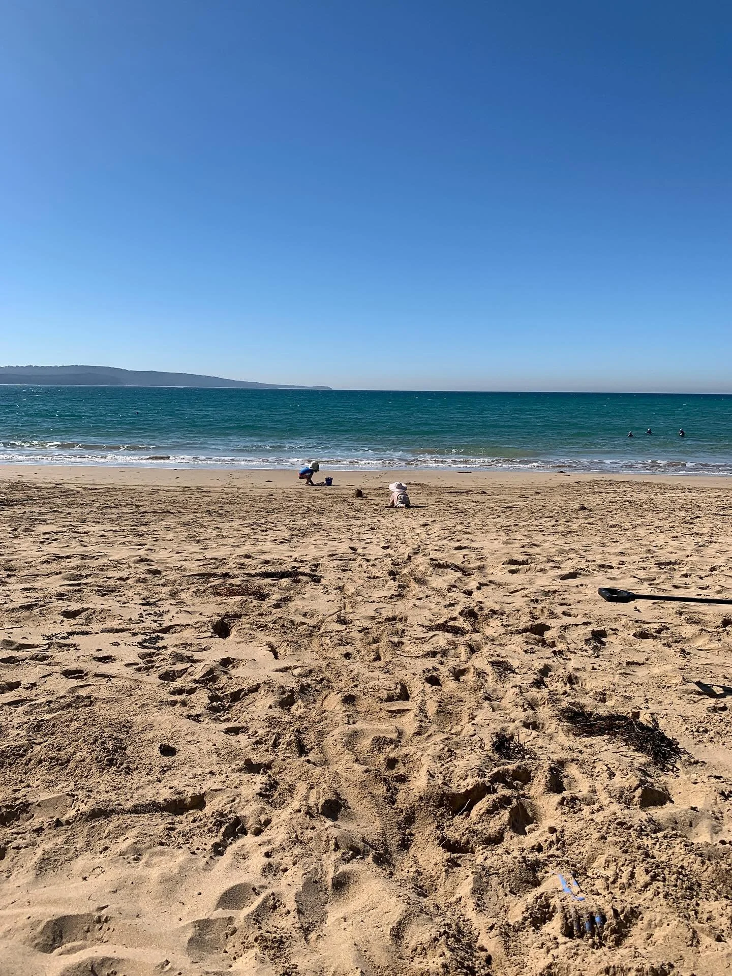 Went to the beach. Had a winter swim. Met a magpie. Looked out. Highly recommend, 10/10.