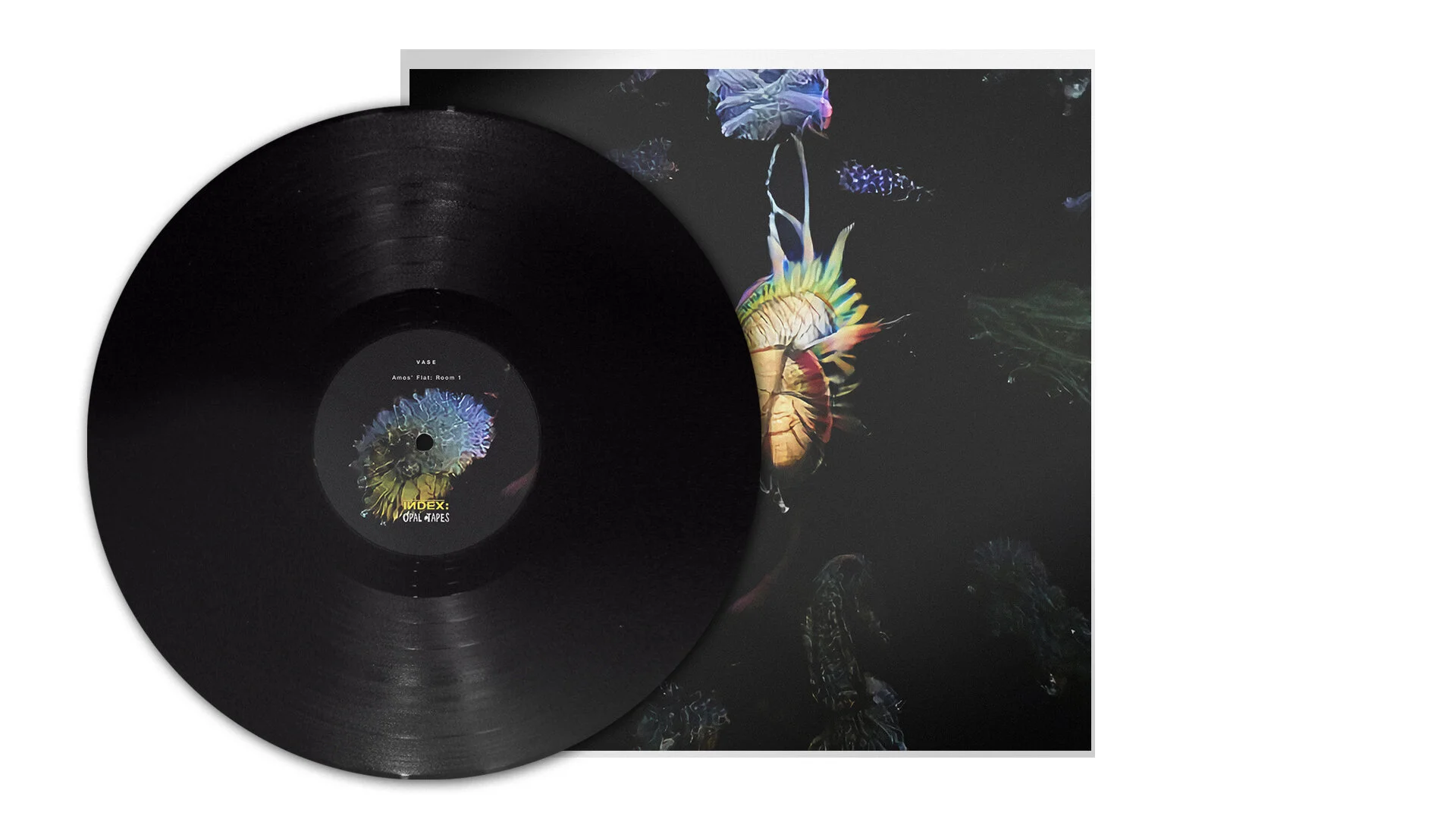 Vinyl LP Packaging Design 