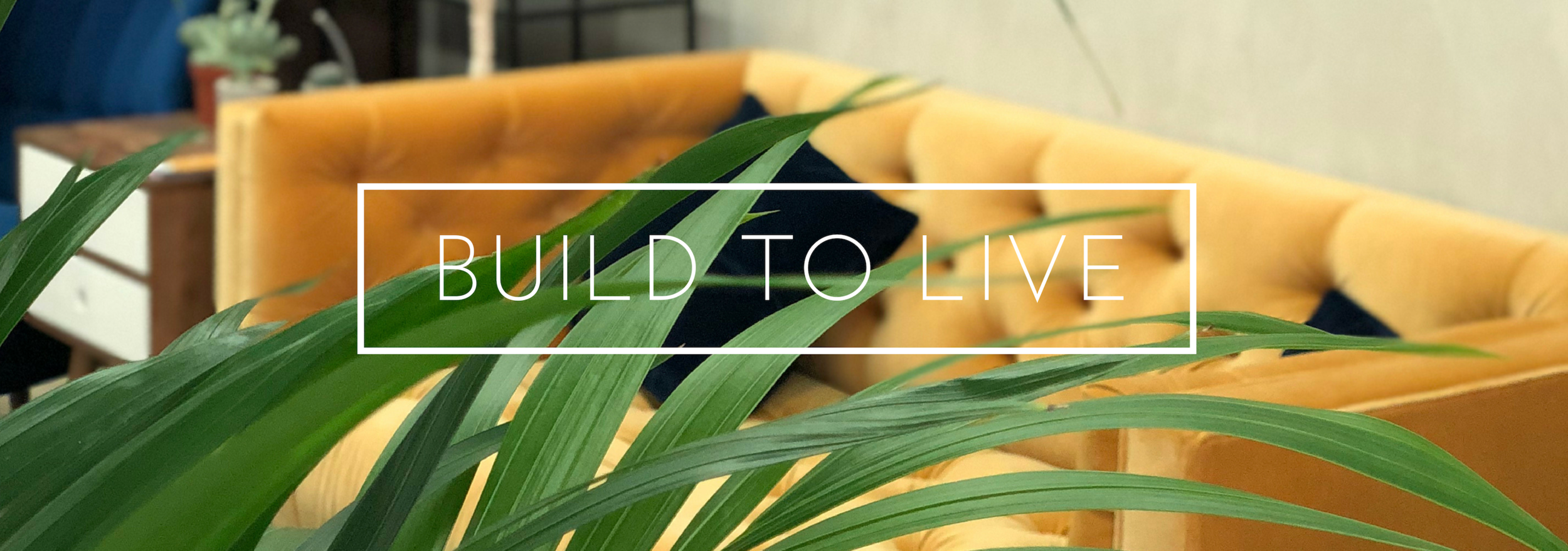 Anya Sokolskaya Build to Rent design approach.png