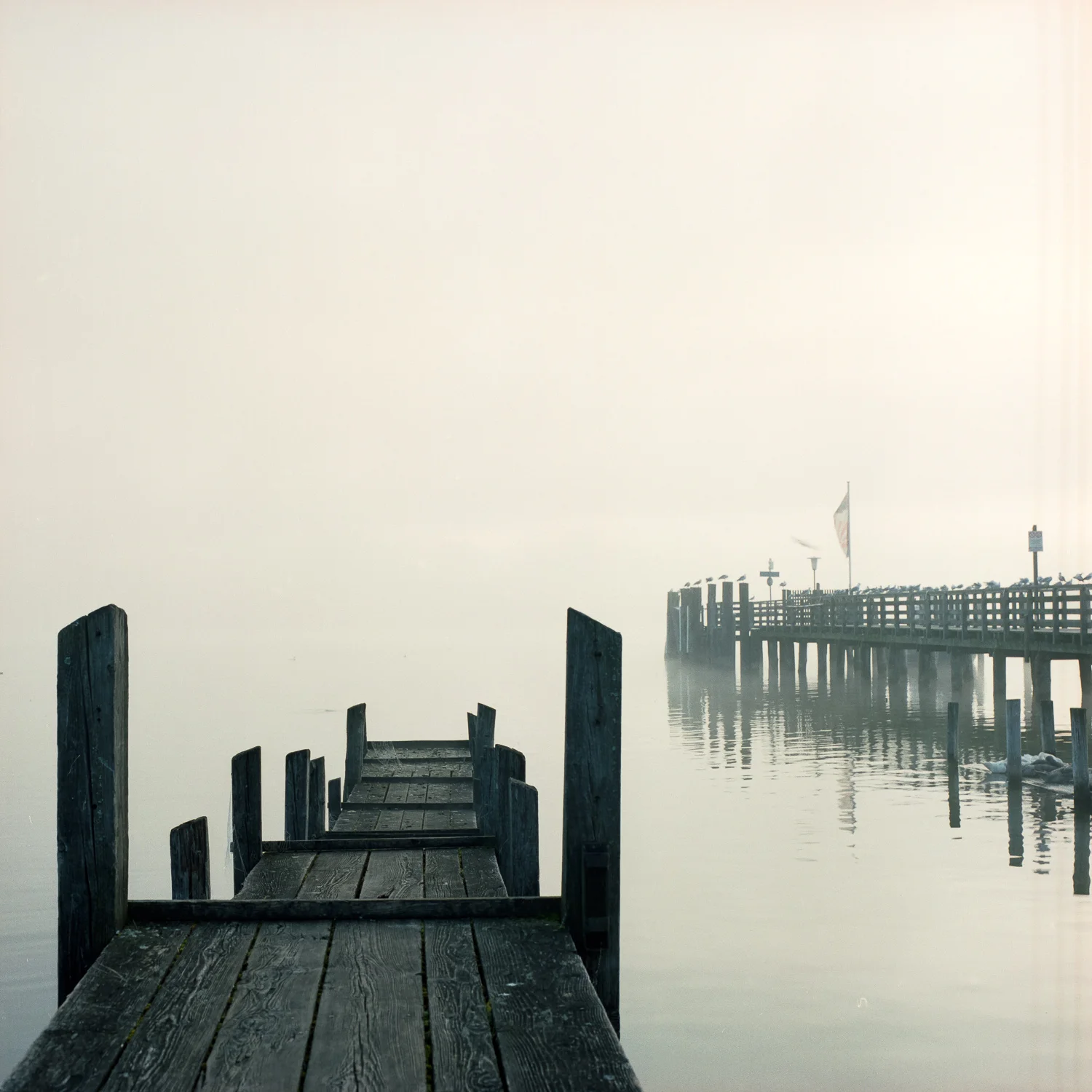 Regular scan with an Epson V700 and no mask installed