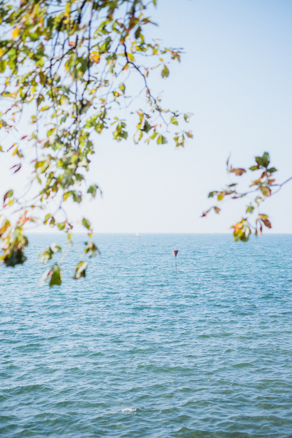 Ammersee_2014-6882.jpg