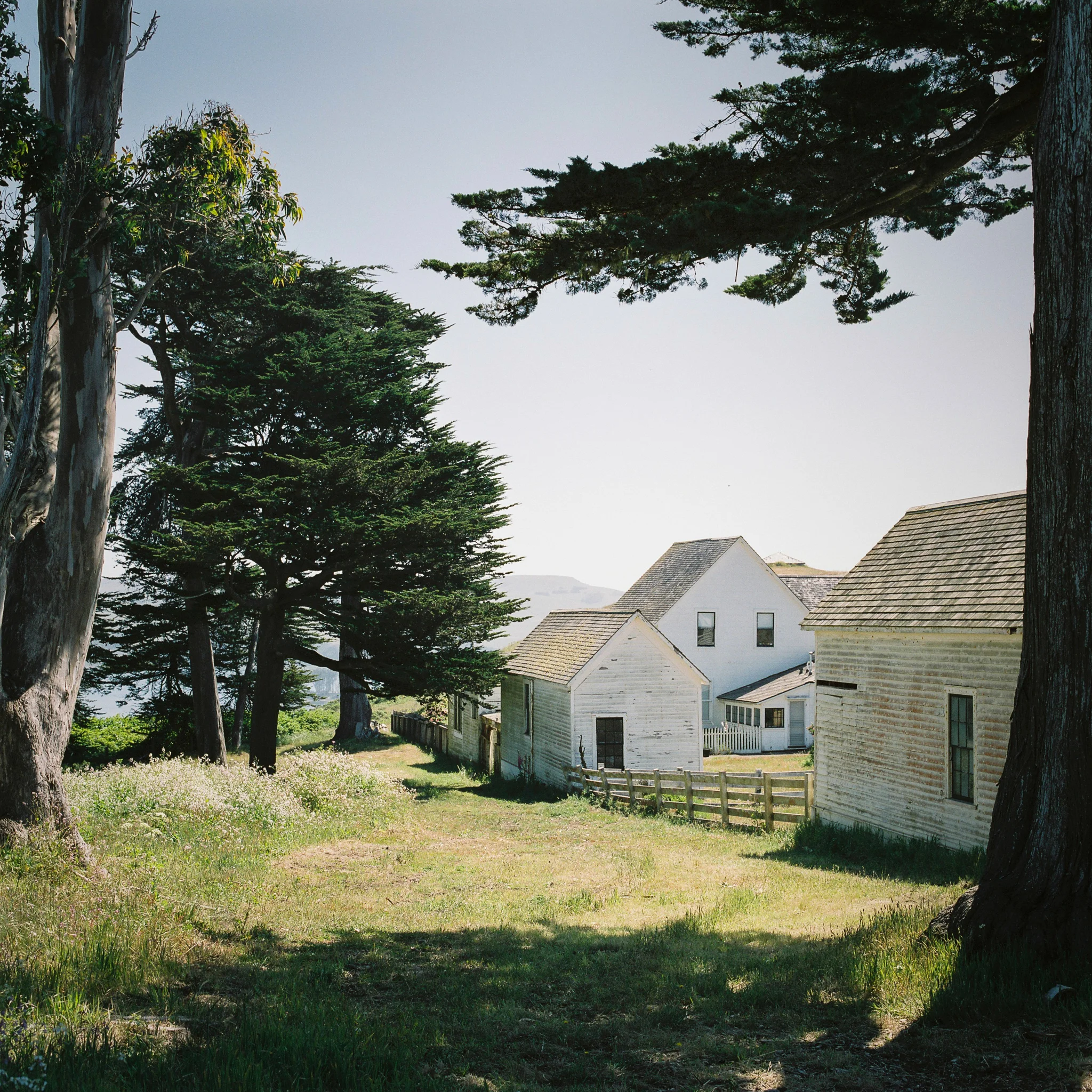 PointReyes-3-17.jpg