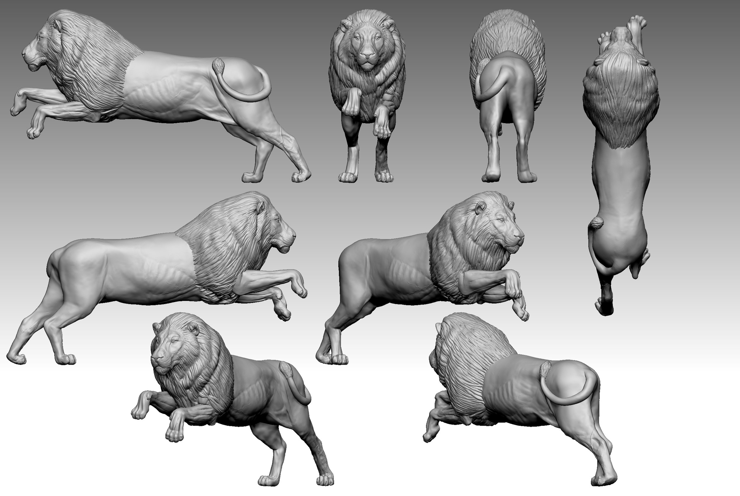 LION-POSEDWIP-V003.jpg