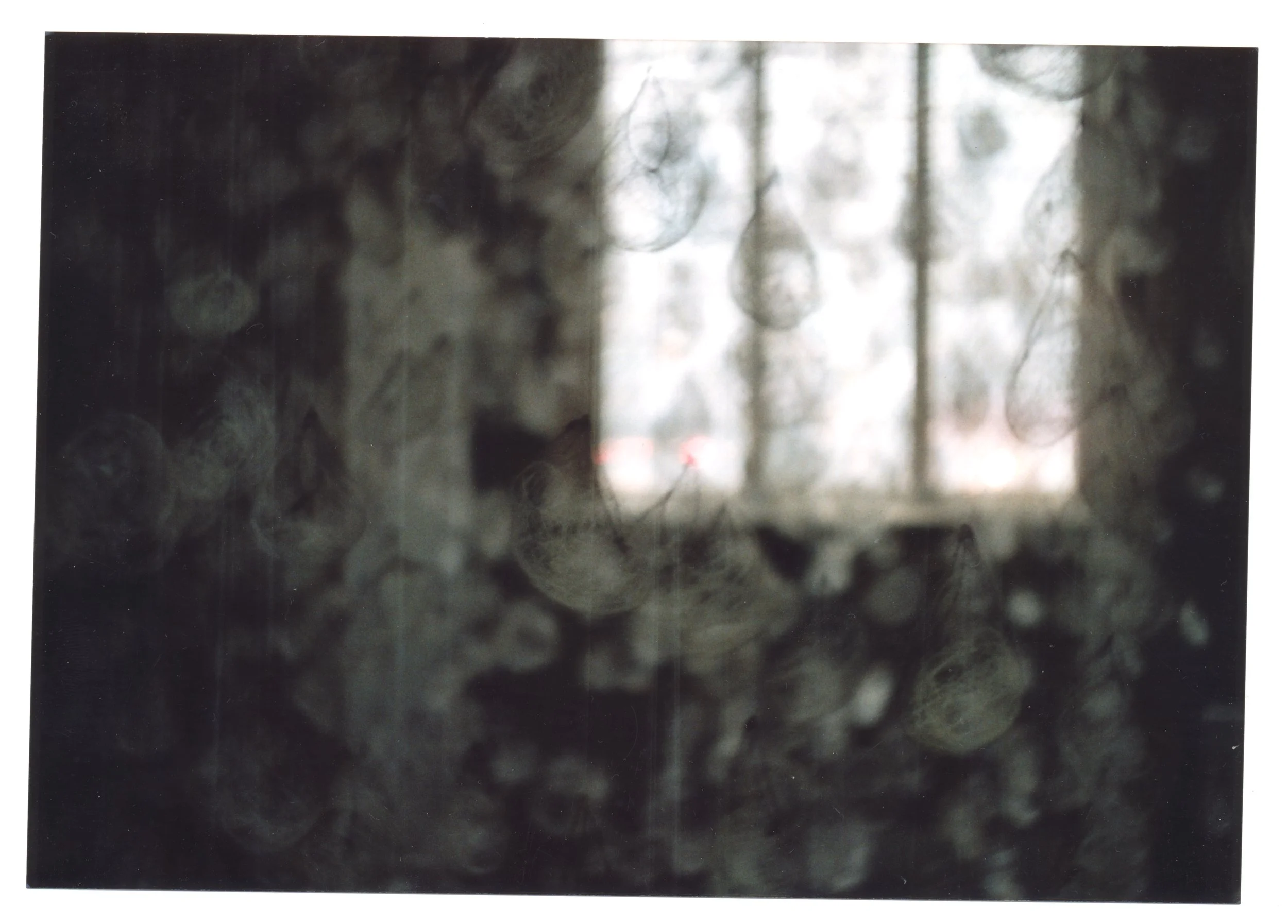 Home ... a special kind of place