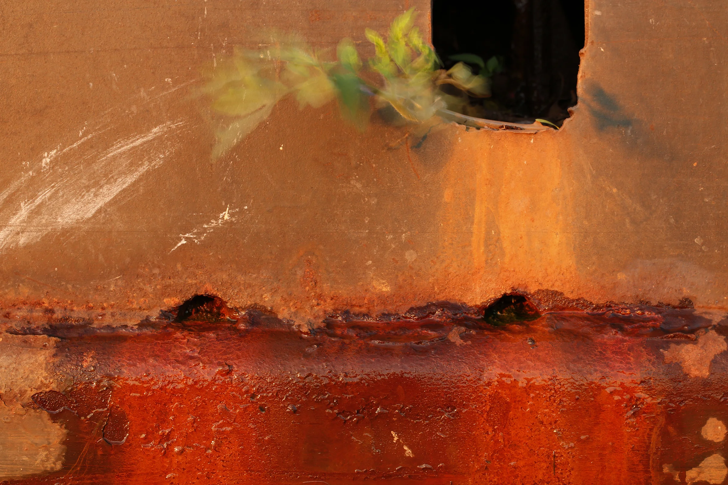 50C8941_Weeping_Portal copy.jpg