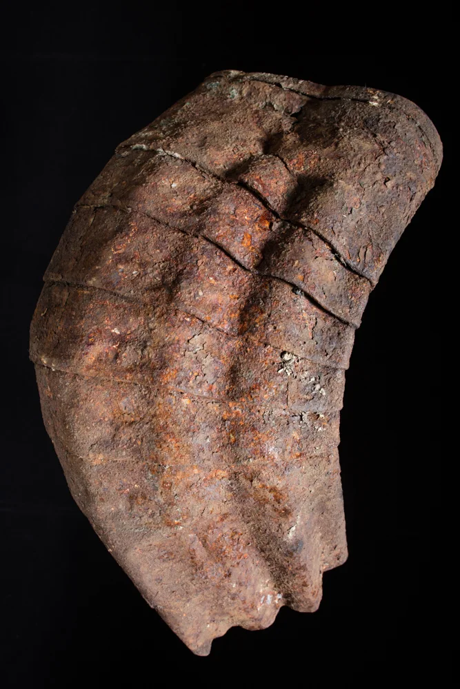 20160320_Steel_Ammonite_03-2.jpg