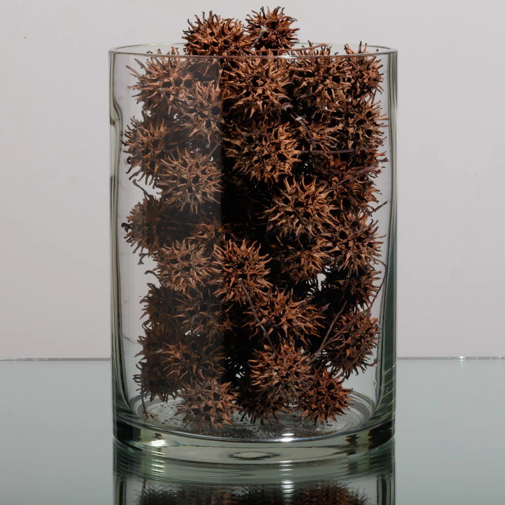 20160324_Sweetgum_04.jpg
