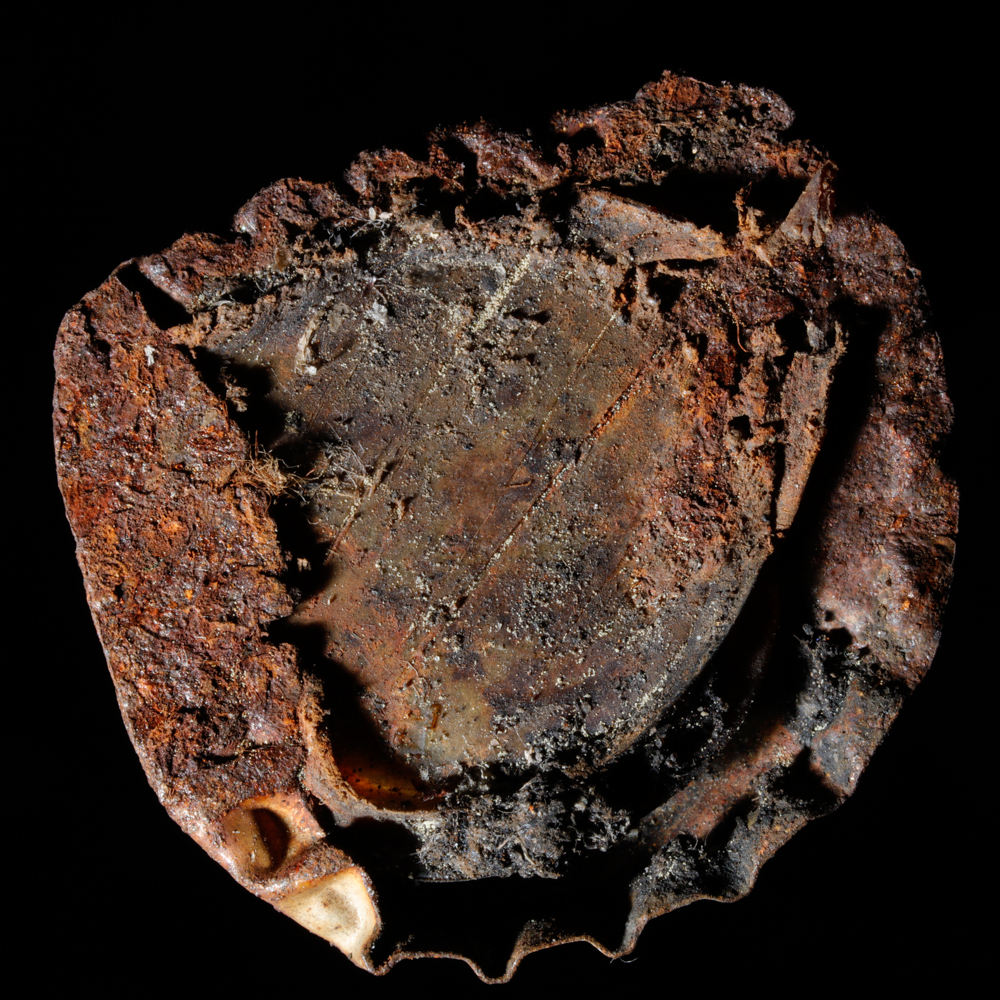 20160415_5534 copy.jpg