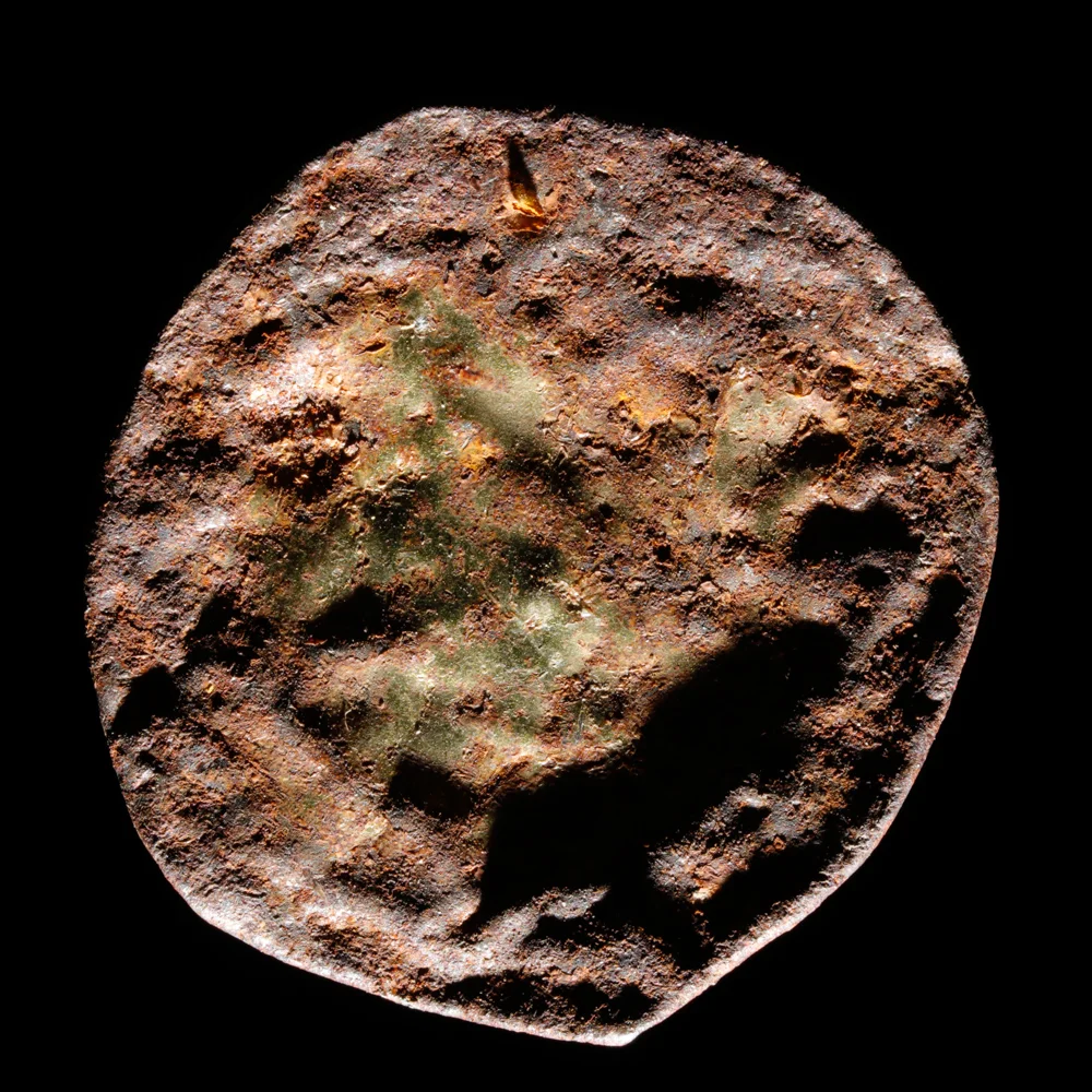 20160415_5583 copy.jpg