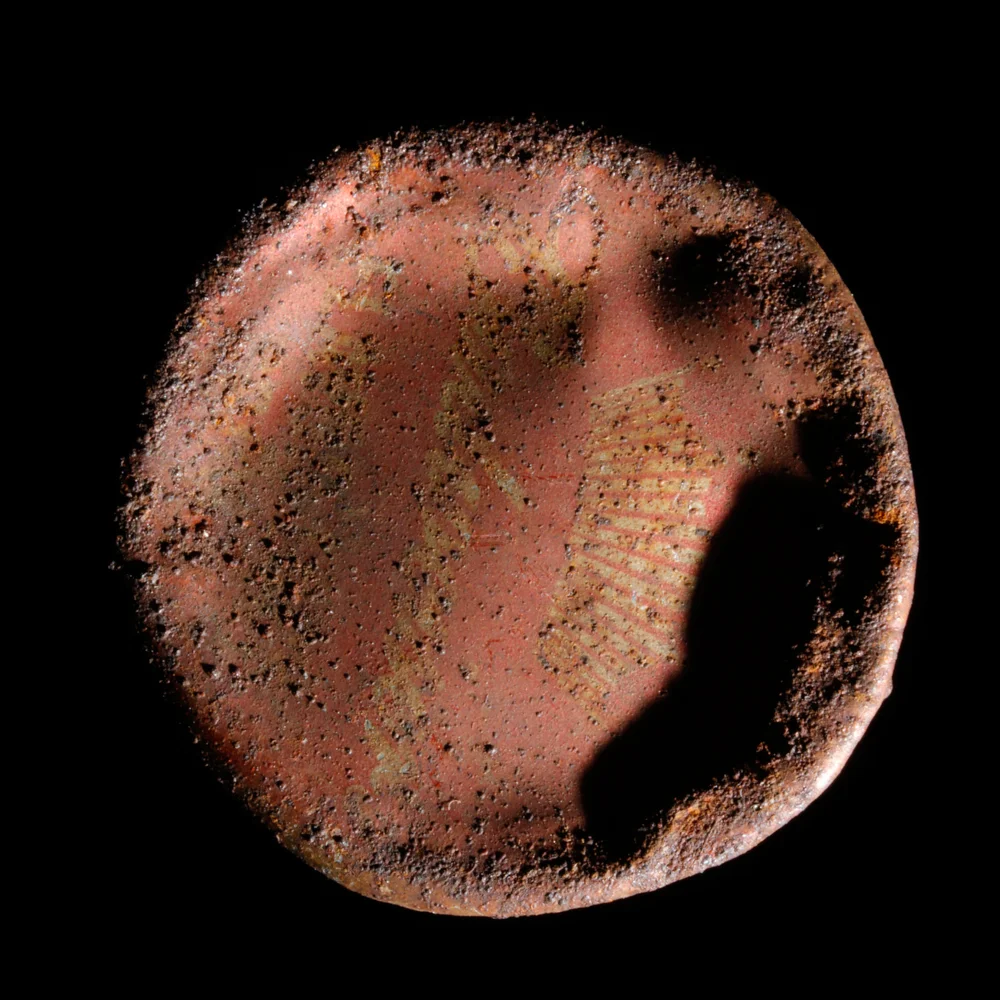 20160415_5667 copy.jpg