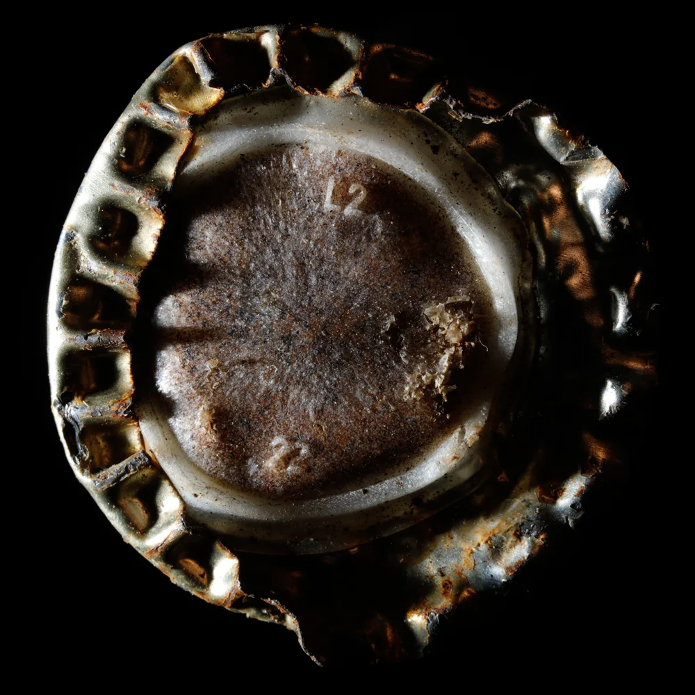 20160415_5844 copy.jpg