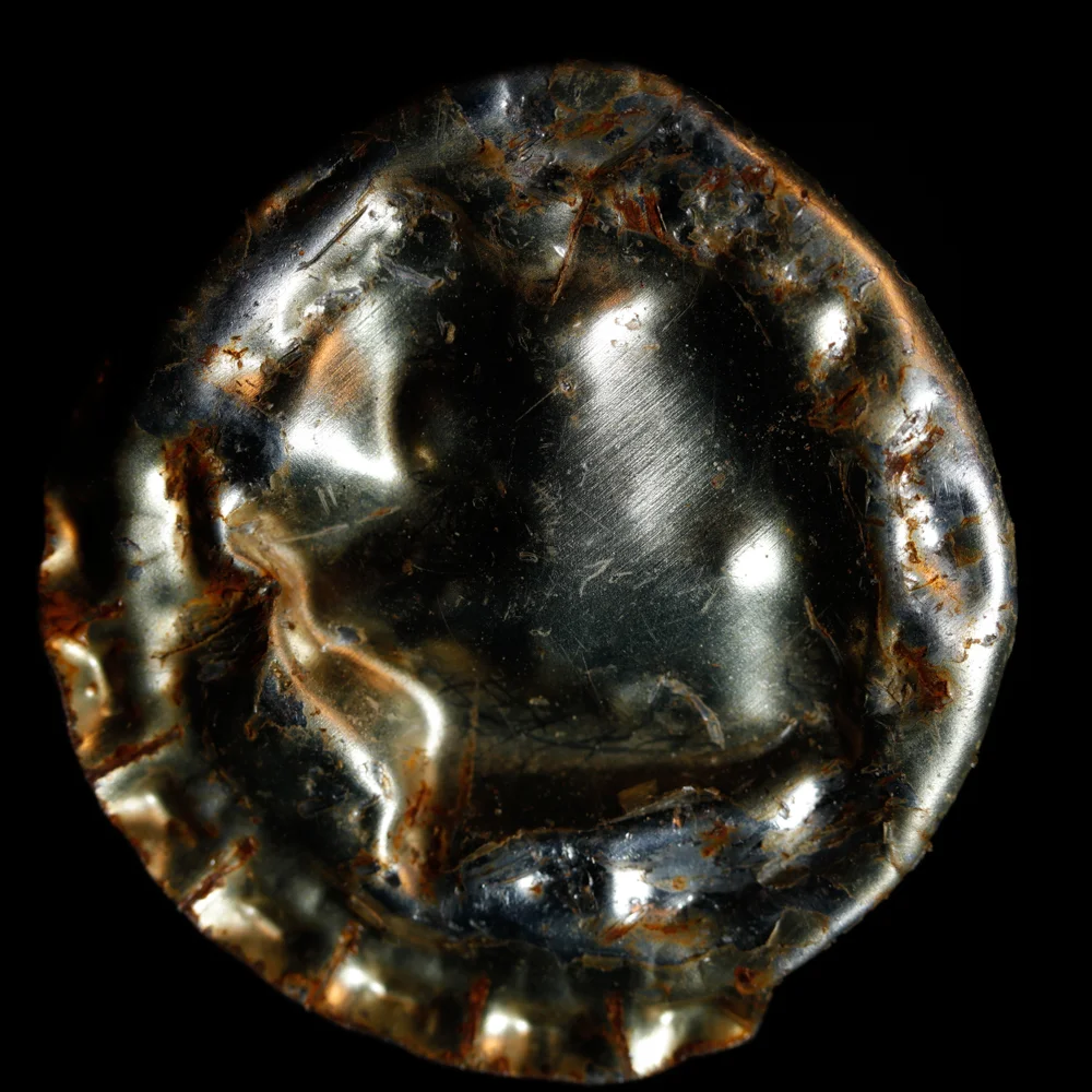 20160415_5852 copy.jpg