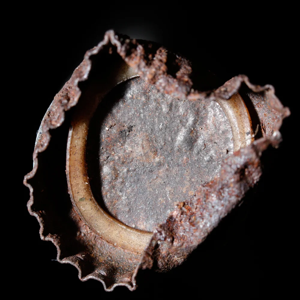 20160415_5882 copy.jpg