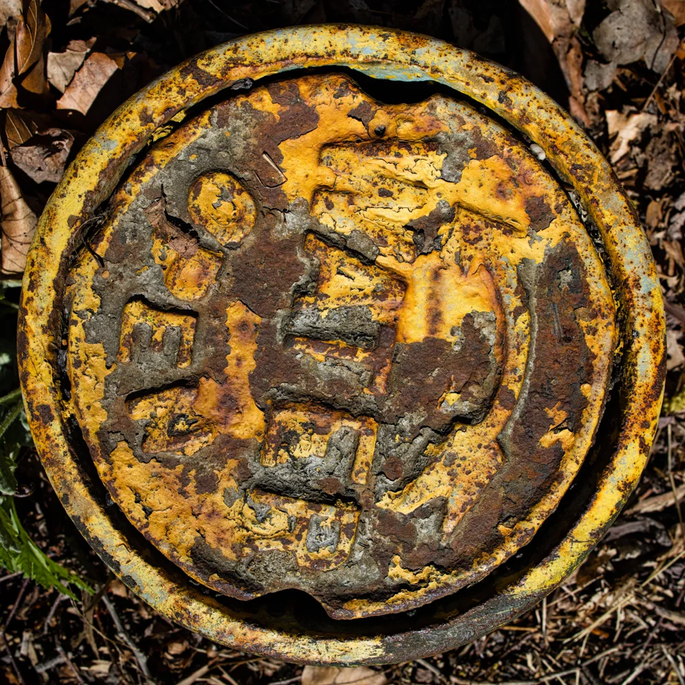 20160424_Water_Cover_#59.jpg