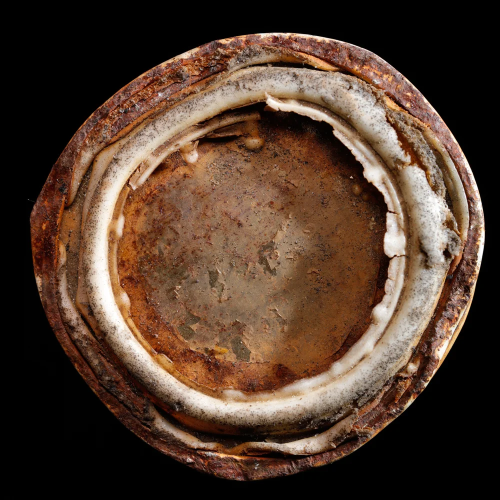 20160504_6866 copy.jpg