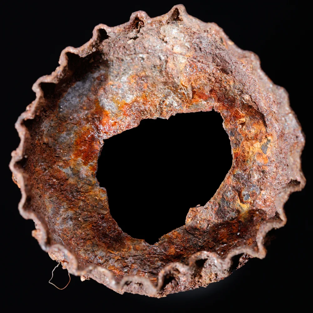 20160506_6500 copy.jpg