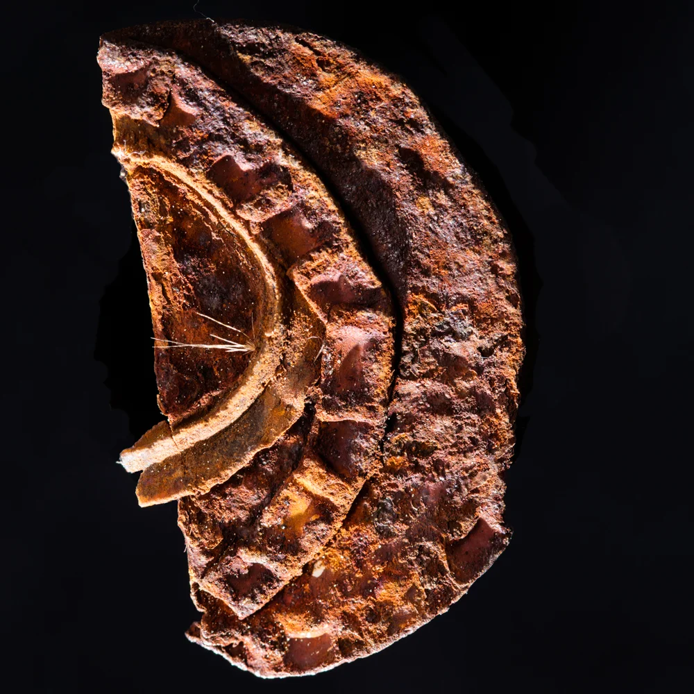 20160506_6696 copy copy.jpg