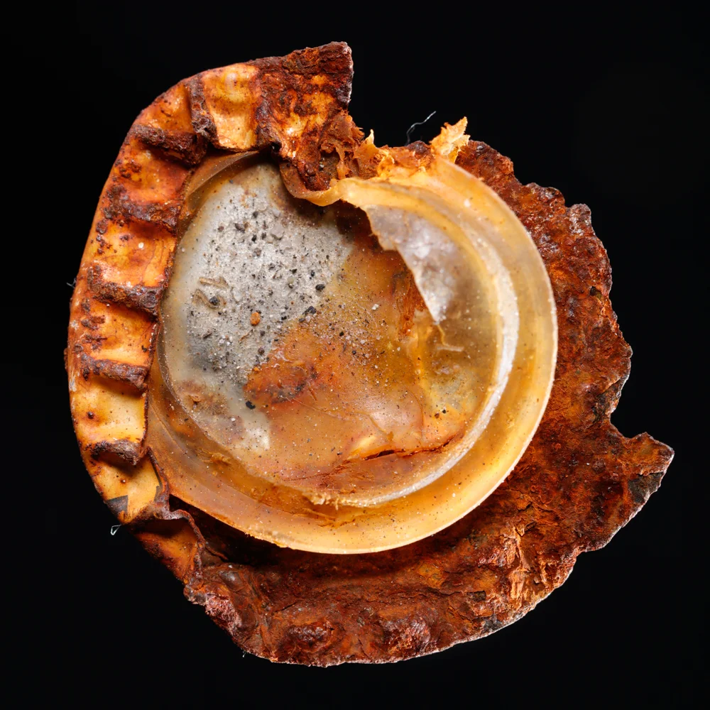 20160508_6272 copy.jpg