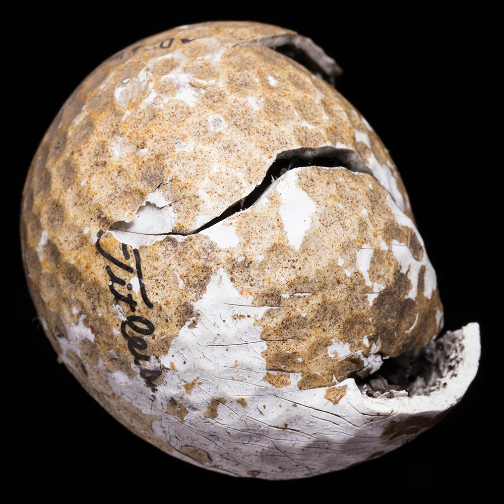 20160517_Golf_Ball_web.jpg