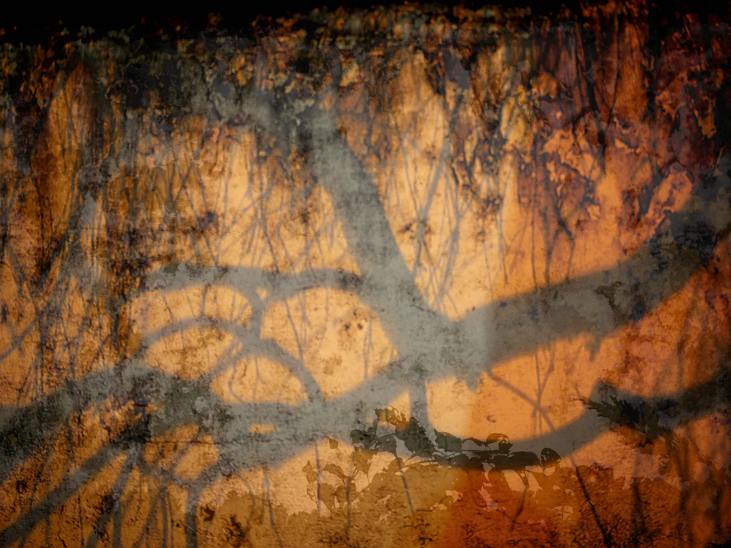 Night-SHADOWS-_web.jpg