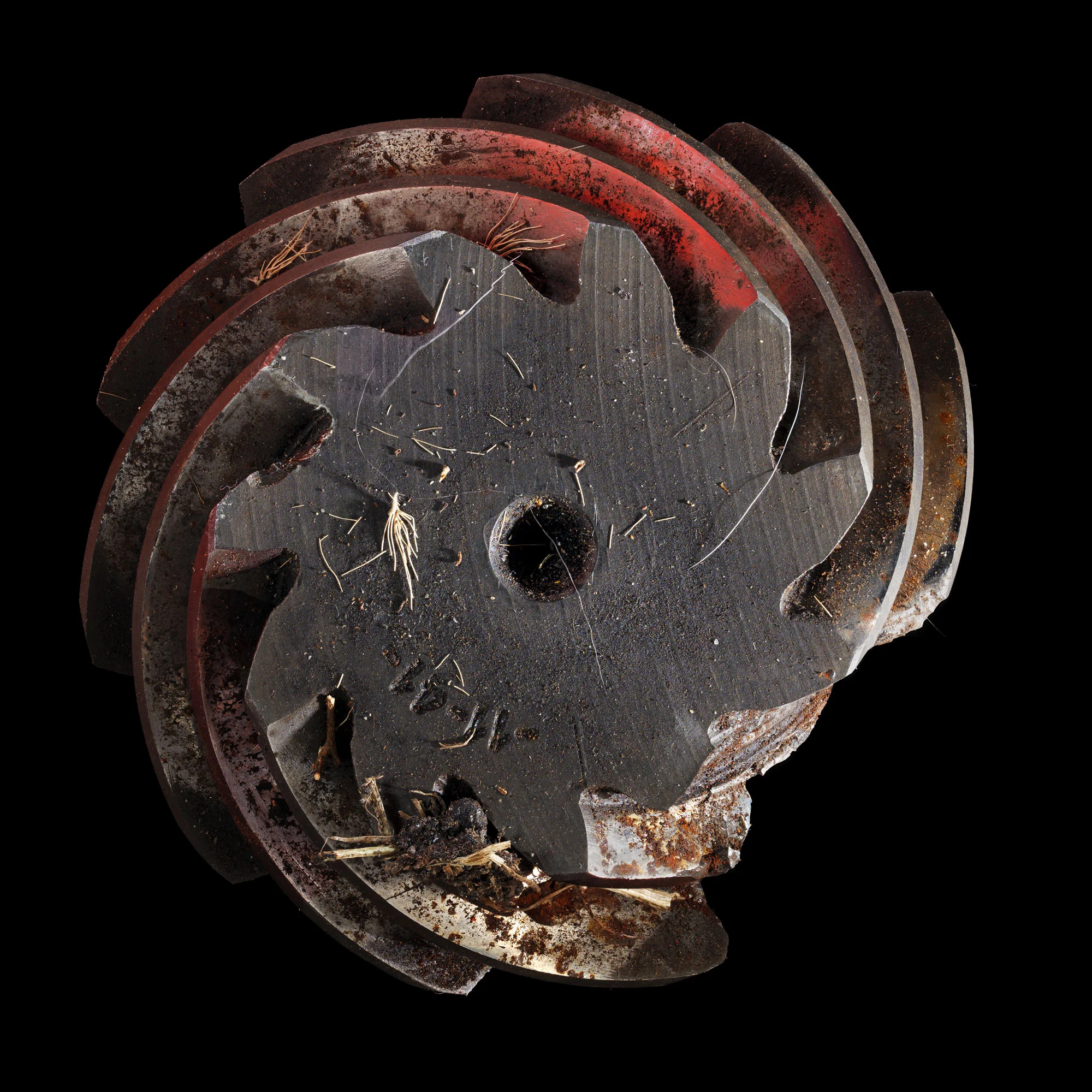 Executive Dysfunction