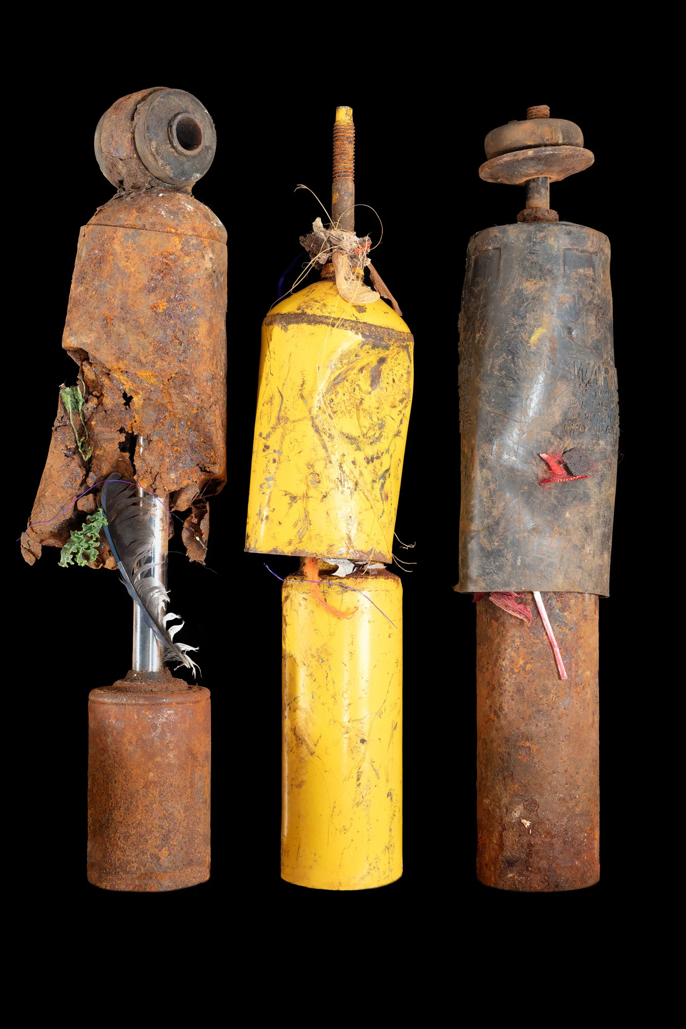 Compliance &amp; Assimilation