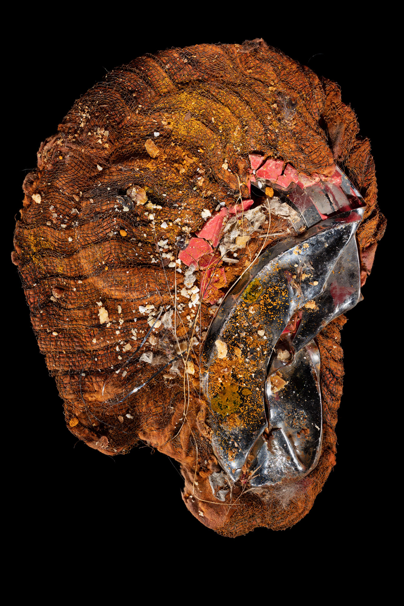 Disorder Obsessed Narcissism