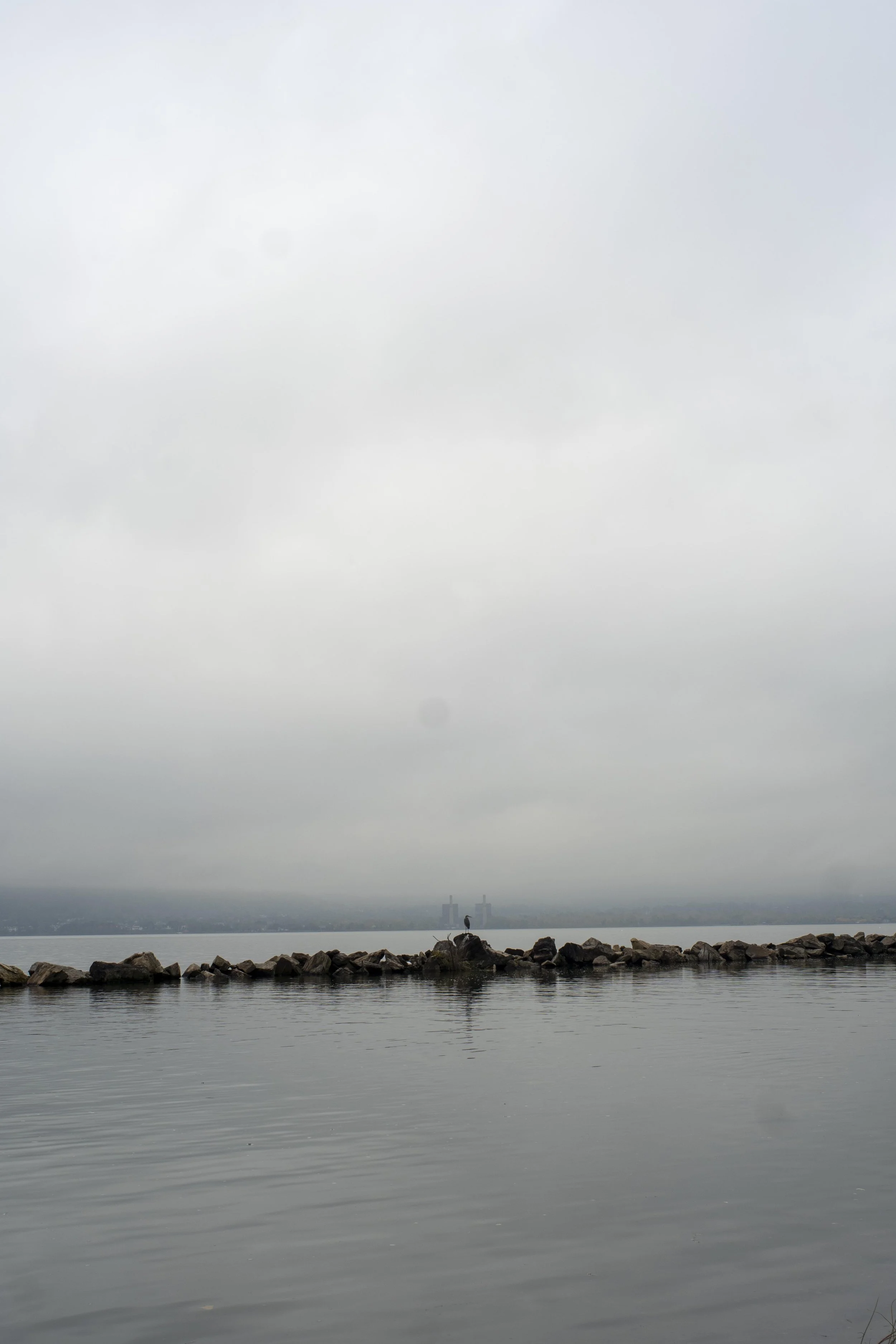 20201020_HeronHvrstw_CL55_01s_L1030333.jpg