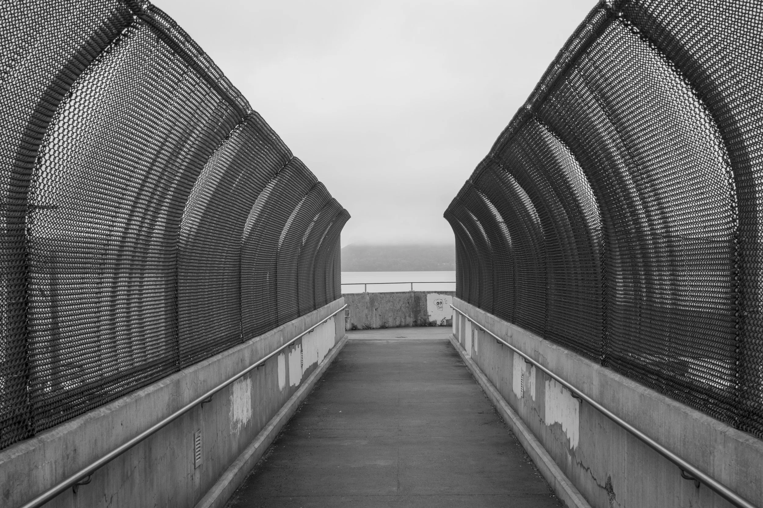 20201020_SenqBridge_CL35_01s_L1030318.jpg