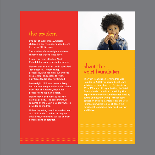 2-Vetri-Foundation-Brochure.jpg