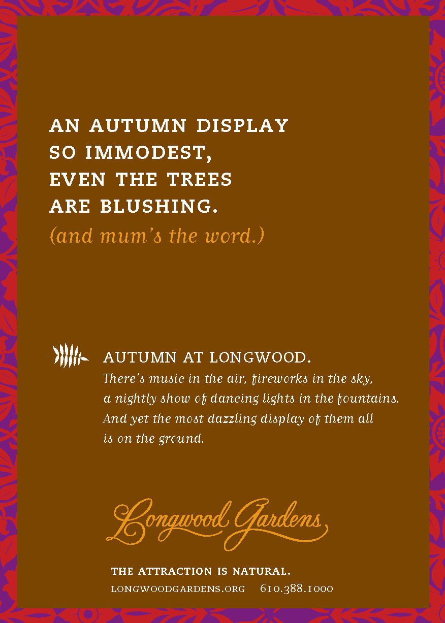 1-longwood-ad-campaign.jpg
