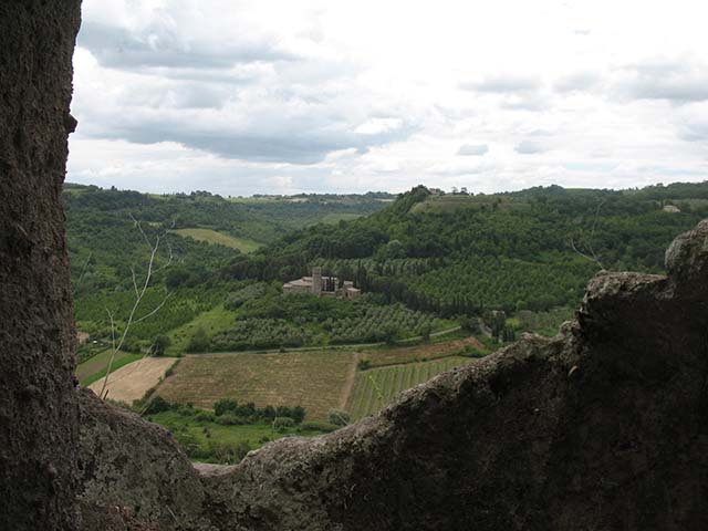 cortona-hillside.jpg