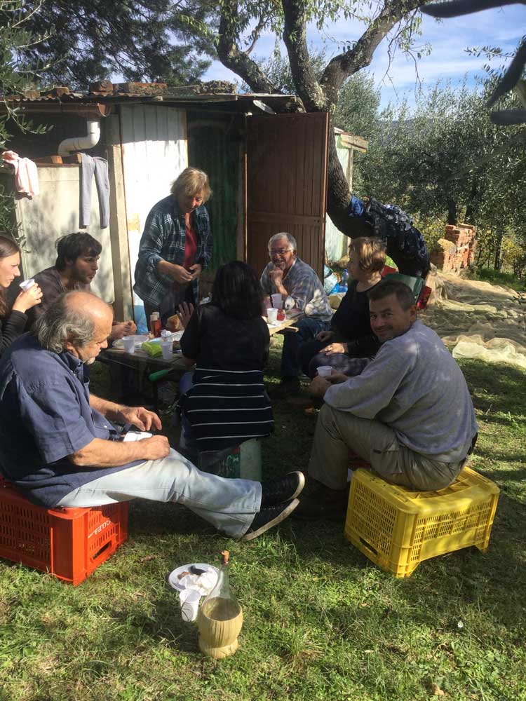 workers-having-lunch-olive-grove.JPG