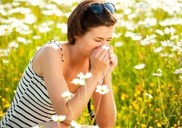 Acupuncture in Brighton hayfever.jpg