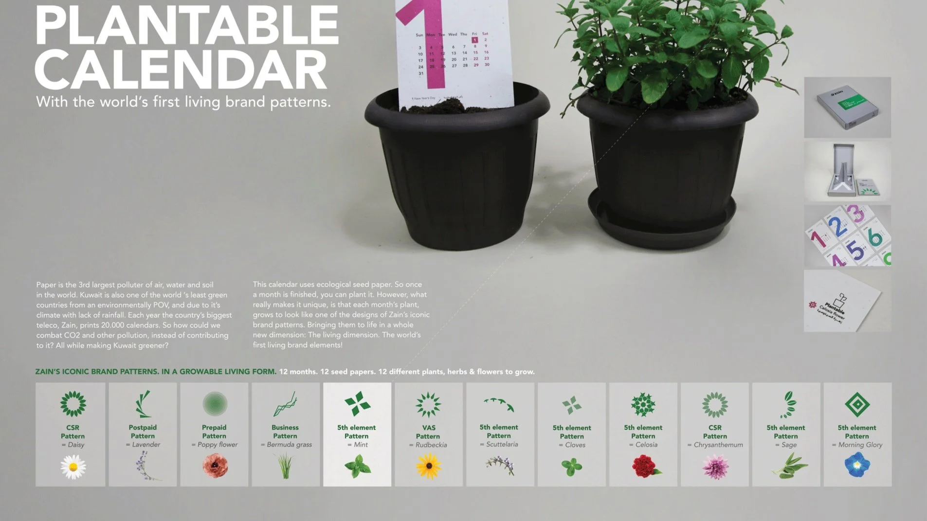 ZAIN_2021-Calendar_Case-Board.jpg