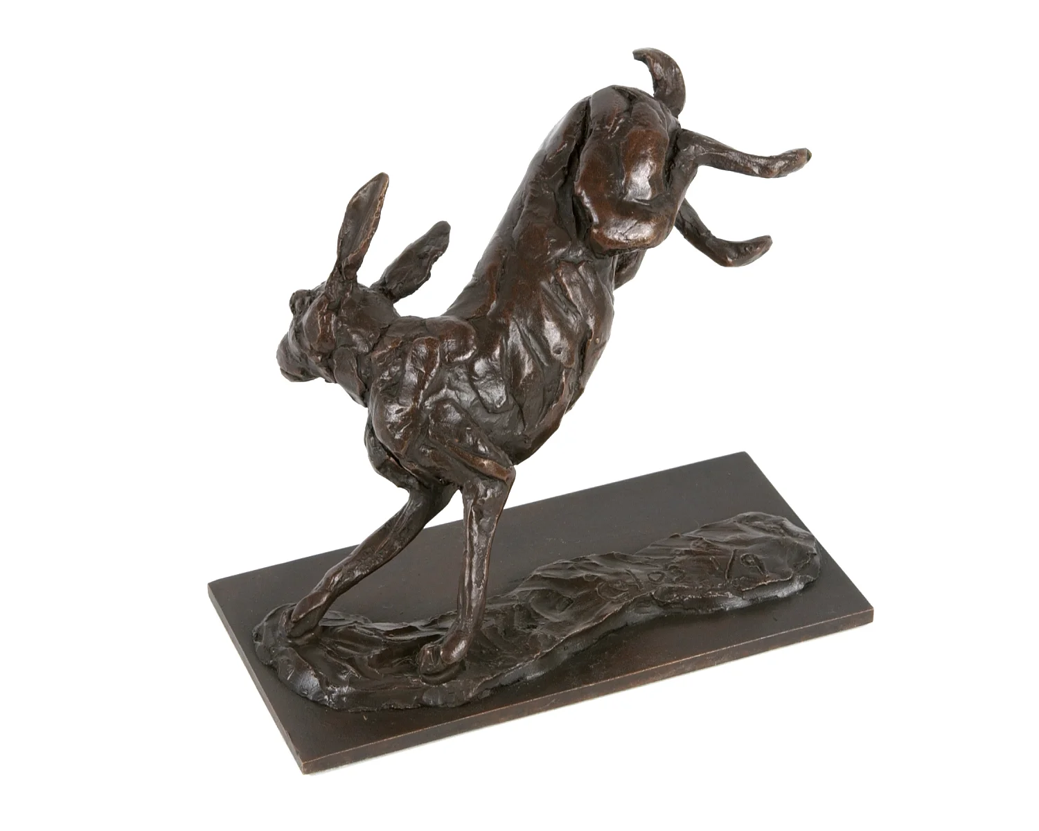 'Hare today, Gone tomorrow'