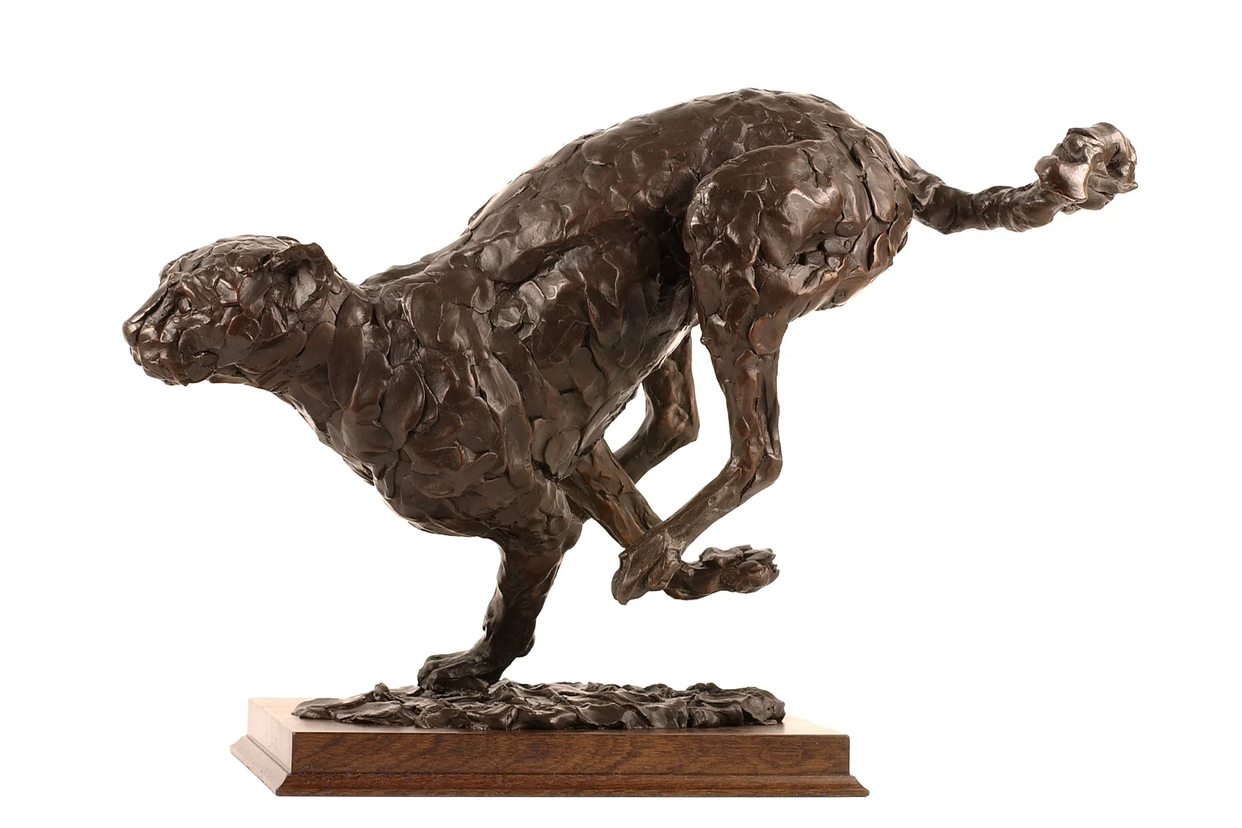 'Hunting cheetah'